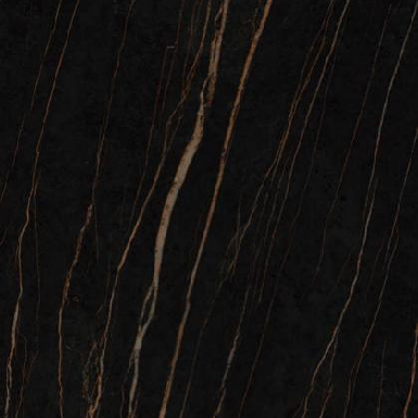 Dark Wood